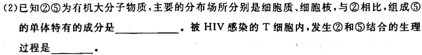 江西省2024届九年级初中目标考点测评（十三）生物学试题答案