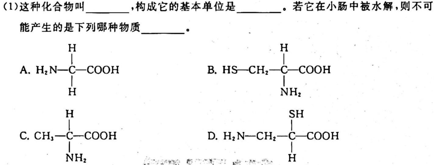 四川省普通高中2023-2024学年度高二11月联考生物学试题答案