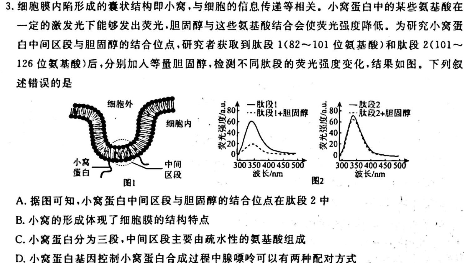 陕西省2023-2024学年度七年级第一学期期中调研试题［D版］生物