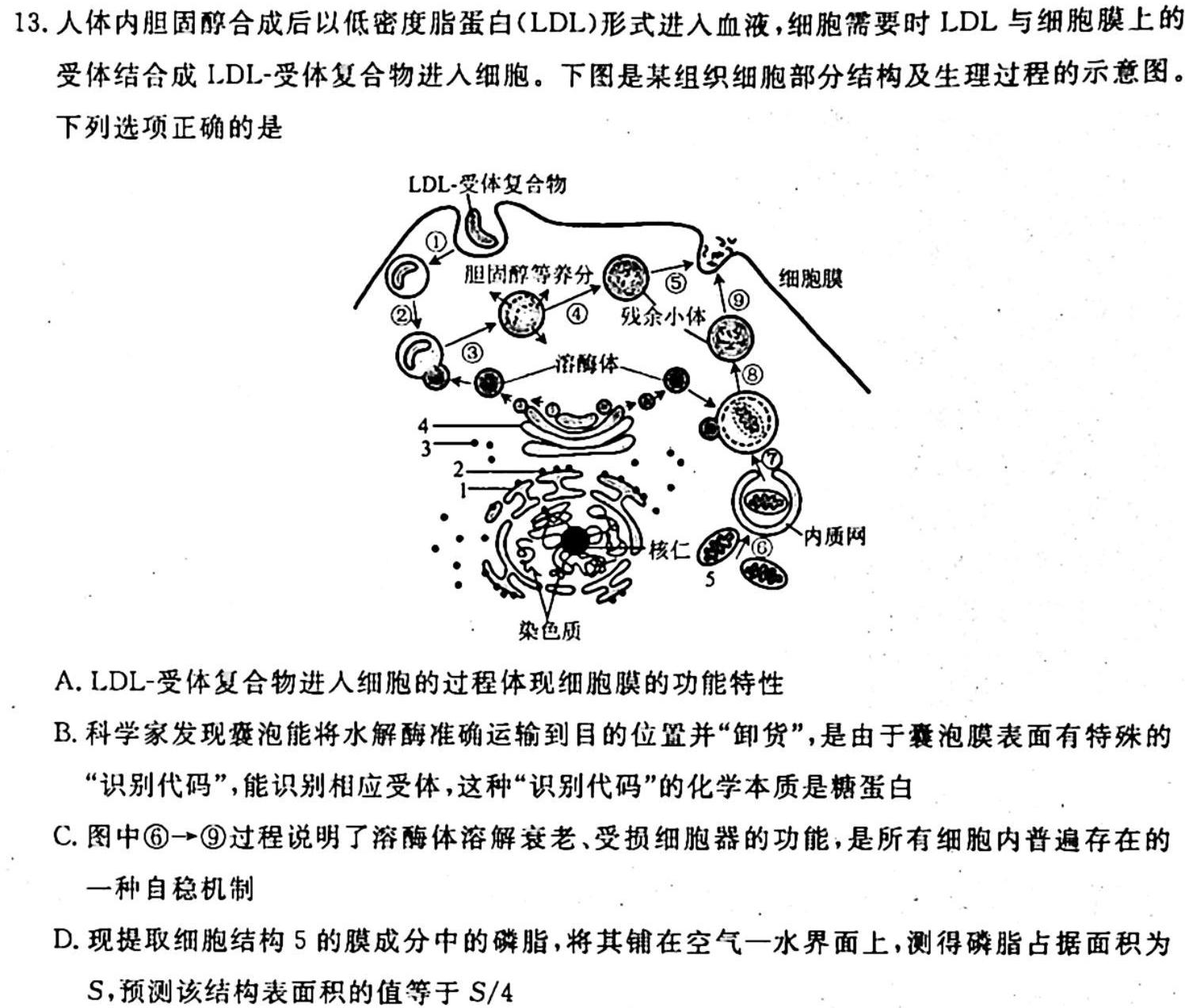 ［绵阳一诊］绵阳市高中2021级第一次诊断性考试生物学试题答案