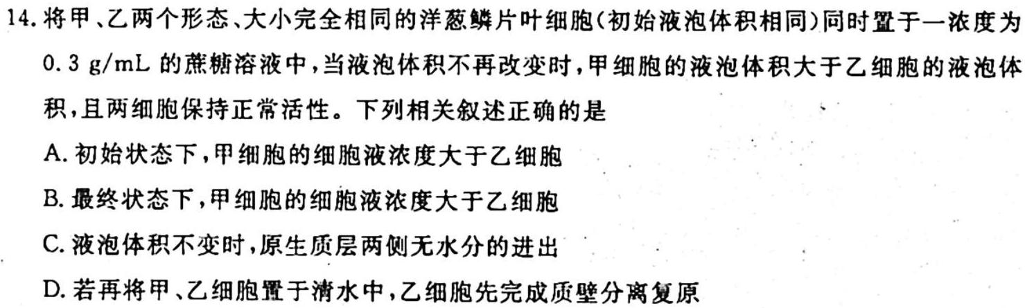 九师联盟2024届高三10月质量检测巩固卷LG生物学试题答案