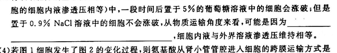 2023-2024学年（上）南阳六校高二年级期中考试生物学试题答案