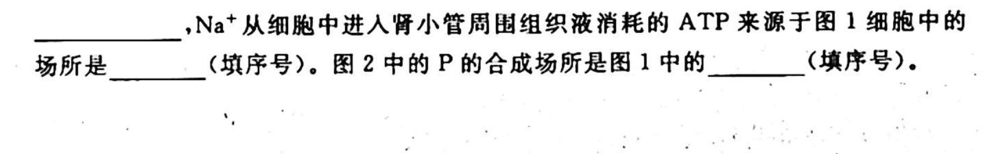 2024届浙江温州一模高三11月联考生物学试题答案