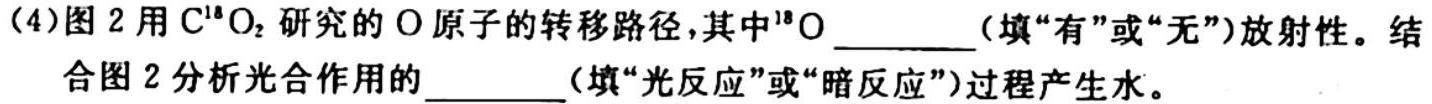 安徽省2023-2024学年八年级上学期教学质量调研一（考后更新）生物