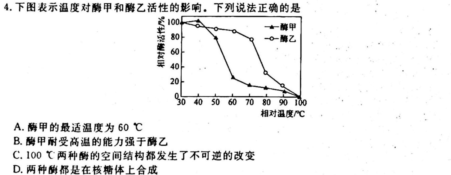 天一大联考 顶尖联盟 2023-2024学年高三秋季期中检测(11月)生物学试题答案