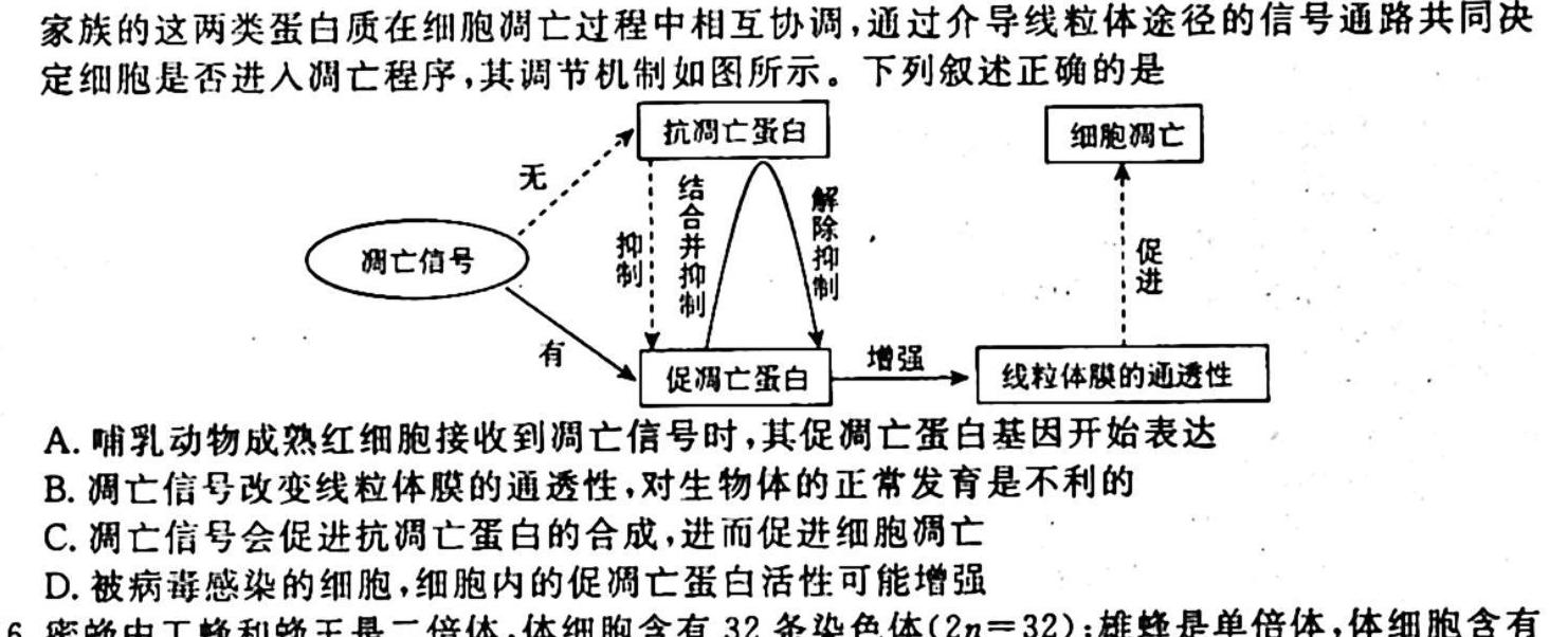 衡水金卷先享题2023-2024学年度高三一轮复习摸底测试卷摸底卷(福建专版)二生物学试题答案