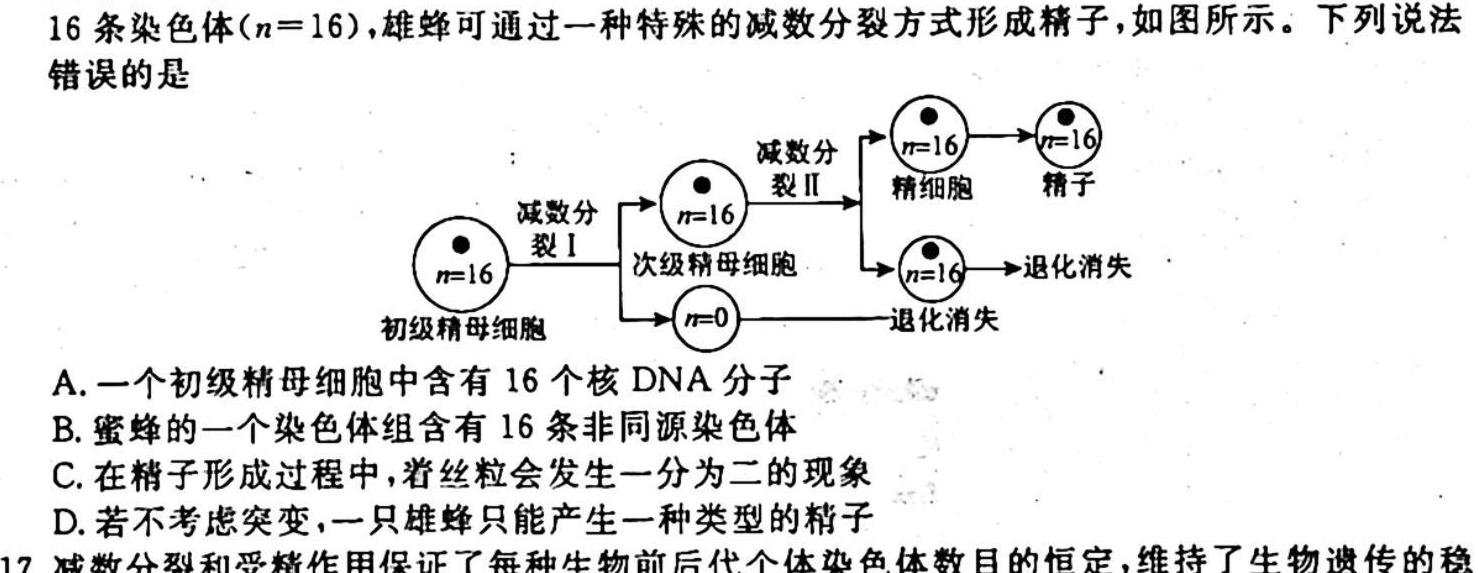 安徽省2023-2024学年度第一学期八年级期中练习生物学试题答案