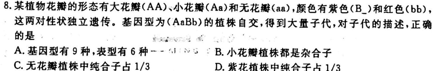 ［湖北大联考］湖北省2024届高三10月百校联考生物学试题答案