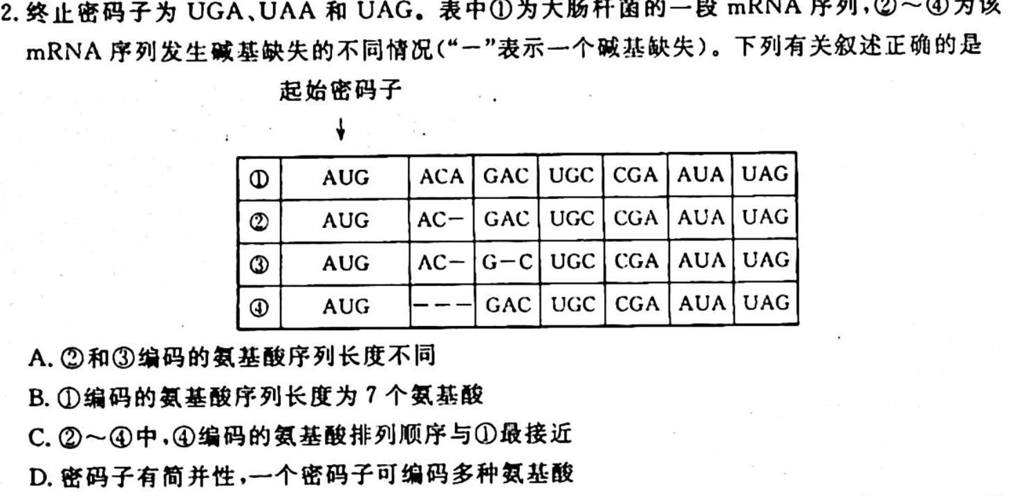 陕西省2023-2024学年度七年级第一学期期中调研试题［D版］生物学试题答案