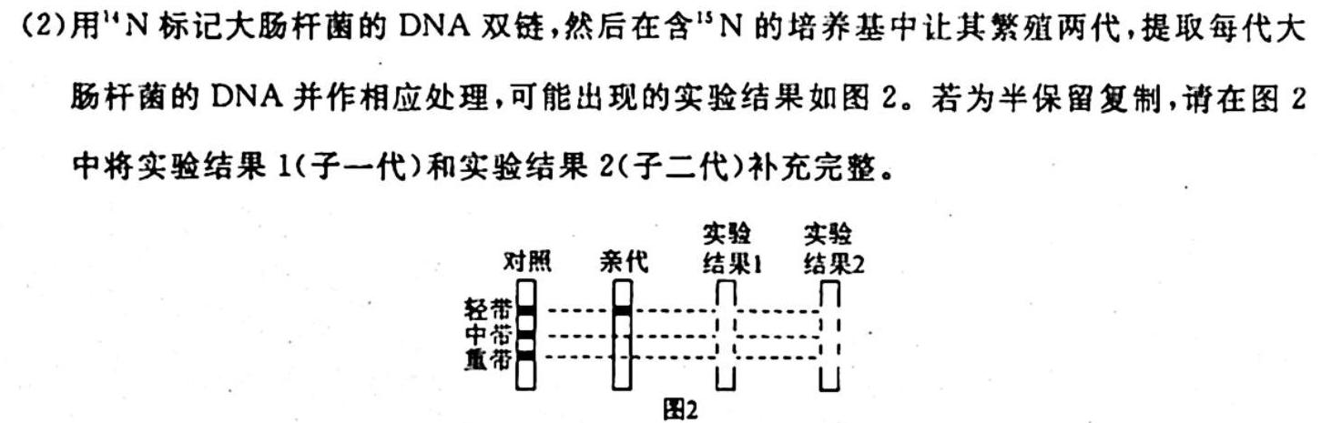 陕西省2024届高三阶段性检测（三）24156C生物