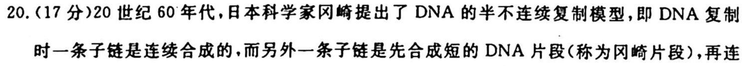 024届全国高考分科模拟检测示范卷(6)生物"