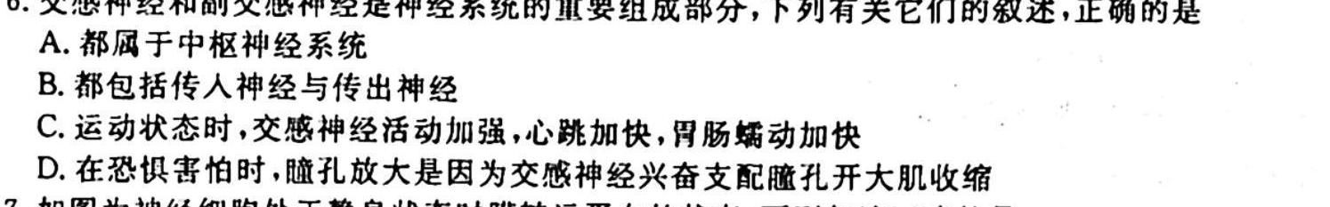 2023秋季河南省高一第三次联考(24-163A)生物学试题答案