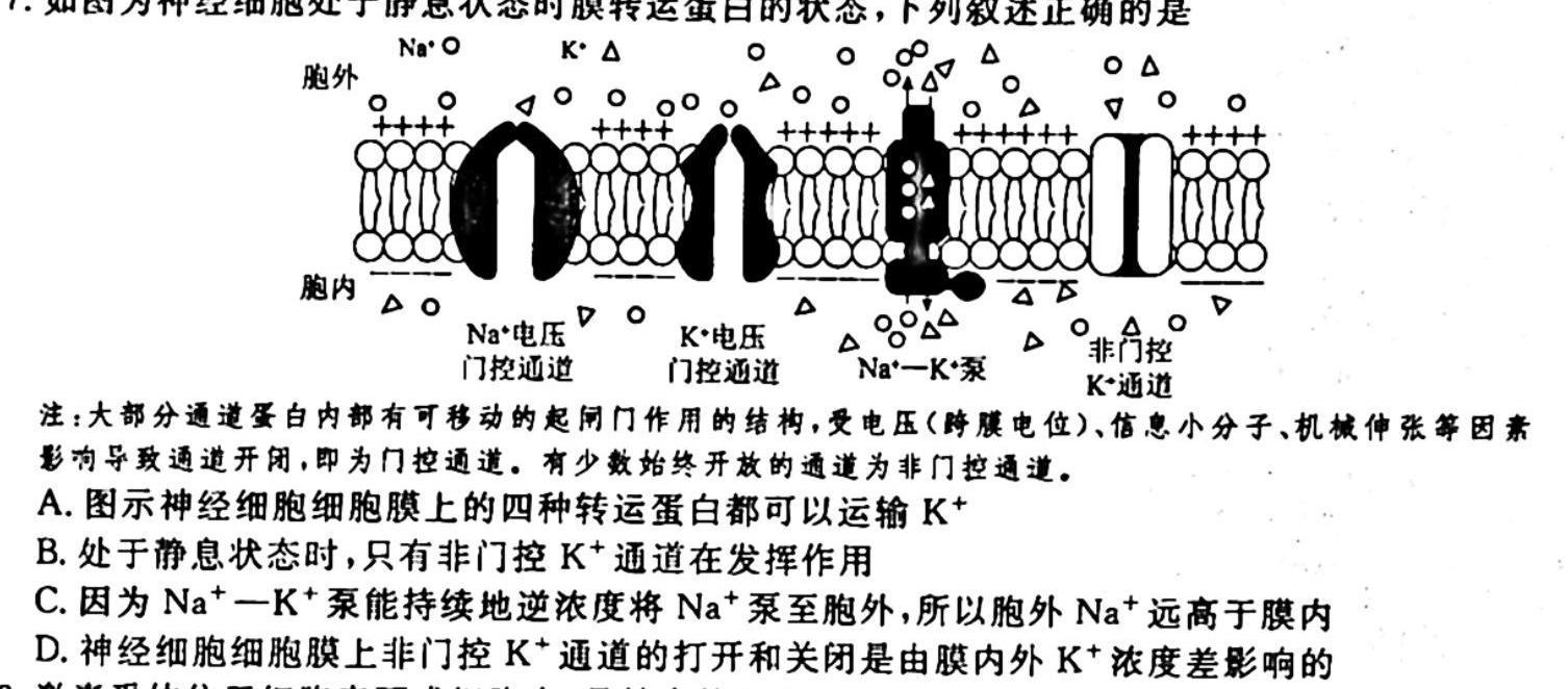 广西南宁11月邕高联考/广西示范性高中高一高二期中联合调研考生物