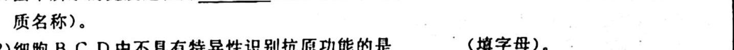 百师联盟 2023~2024学年高一十月大联考生物