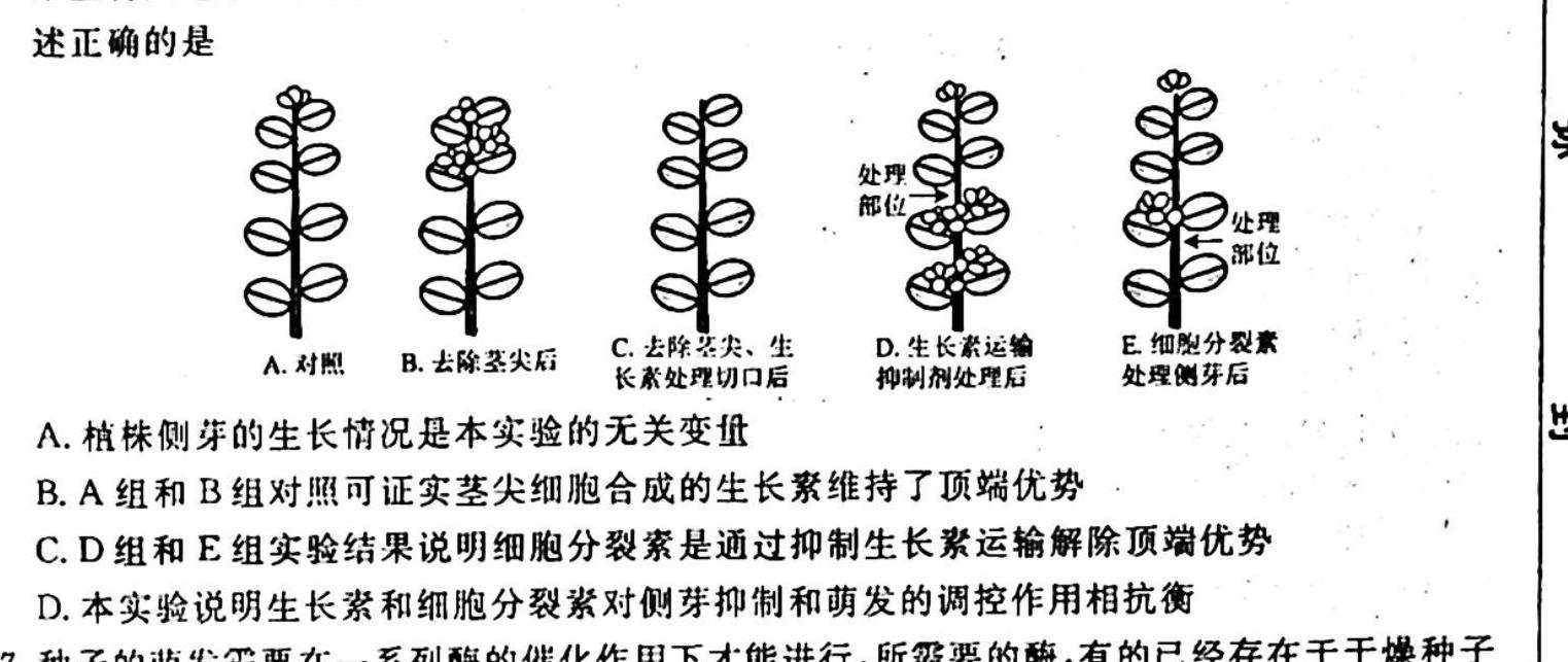 九师联盟·2023-2024学年度江西高一10月教学质量检测生物