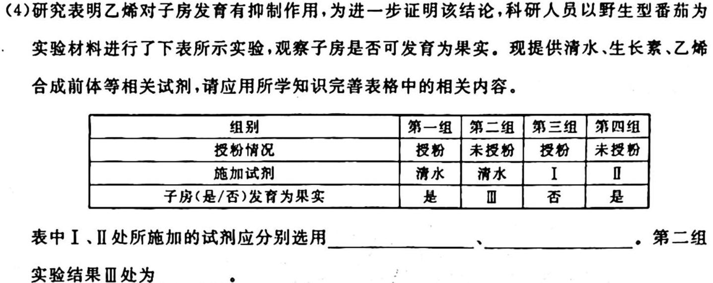 2024年普通高等学校统一模拟招生考试新未来10月联考（高二）生物学试题答案