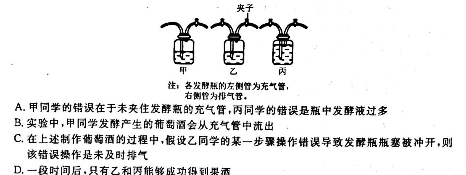 衡水金卷先享题·月考卷 2023-2024学年度上学期高二年级三调考试生物学试题答案