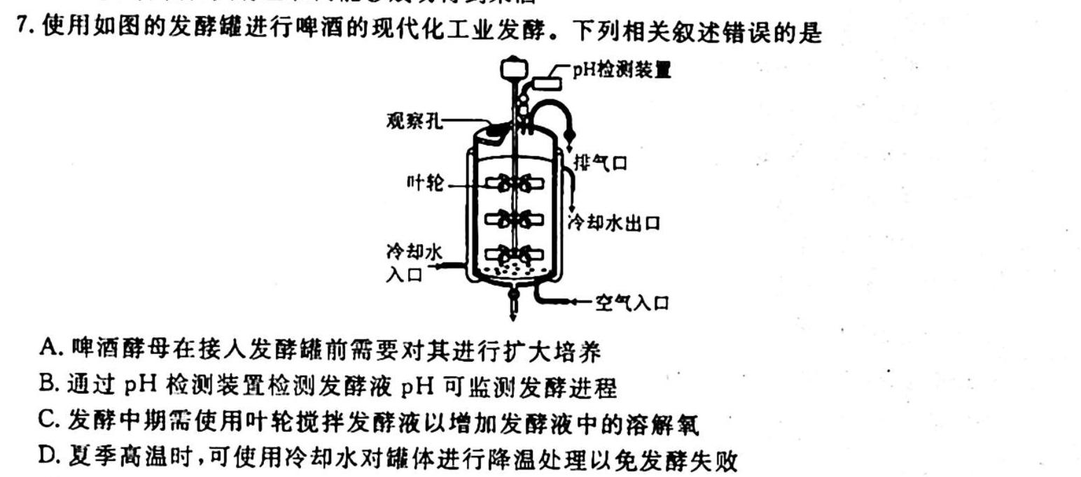 四川省2023-2024学年度高一年级11月期中考试生物学试题答案