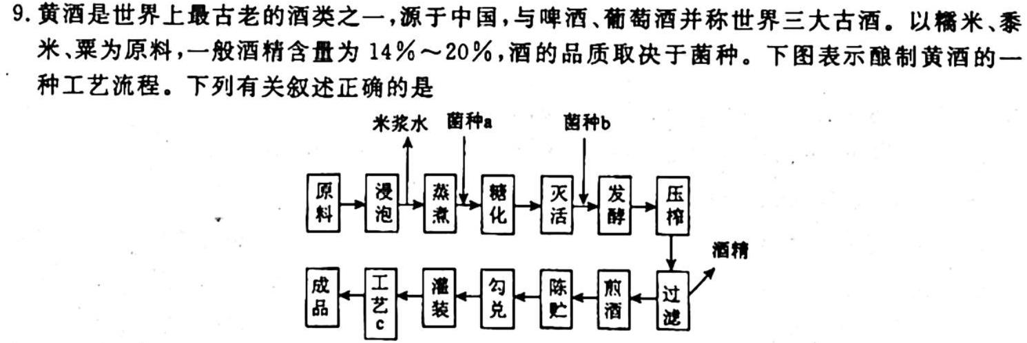 2023-2024学年河北名校强基联盟高一期中联考(24-140A)生物