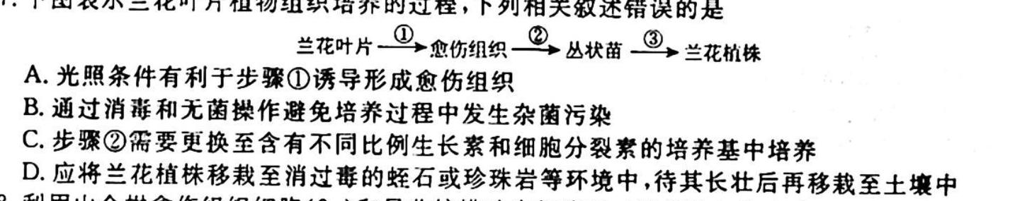 ［河北大联考］河北省2025届高二年级上学期10月联考生物
