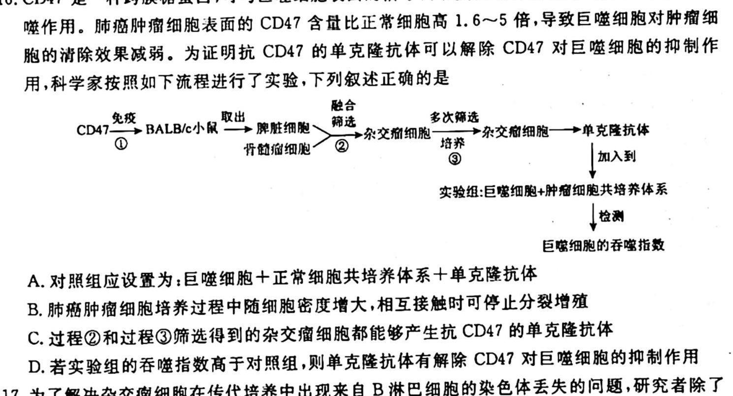 辽宁省2023-2024学年度高一年级十月月考生物学试题答案