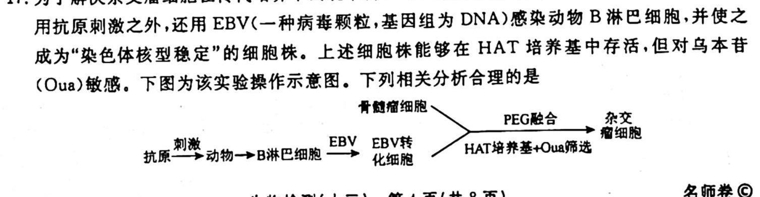 巴蜀中学高2026届高一(上)学月考生物