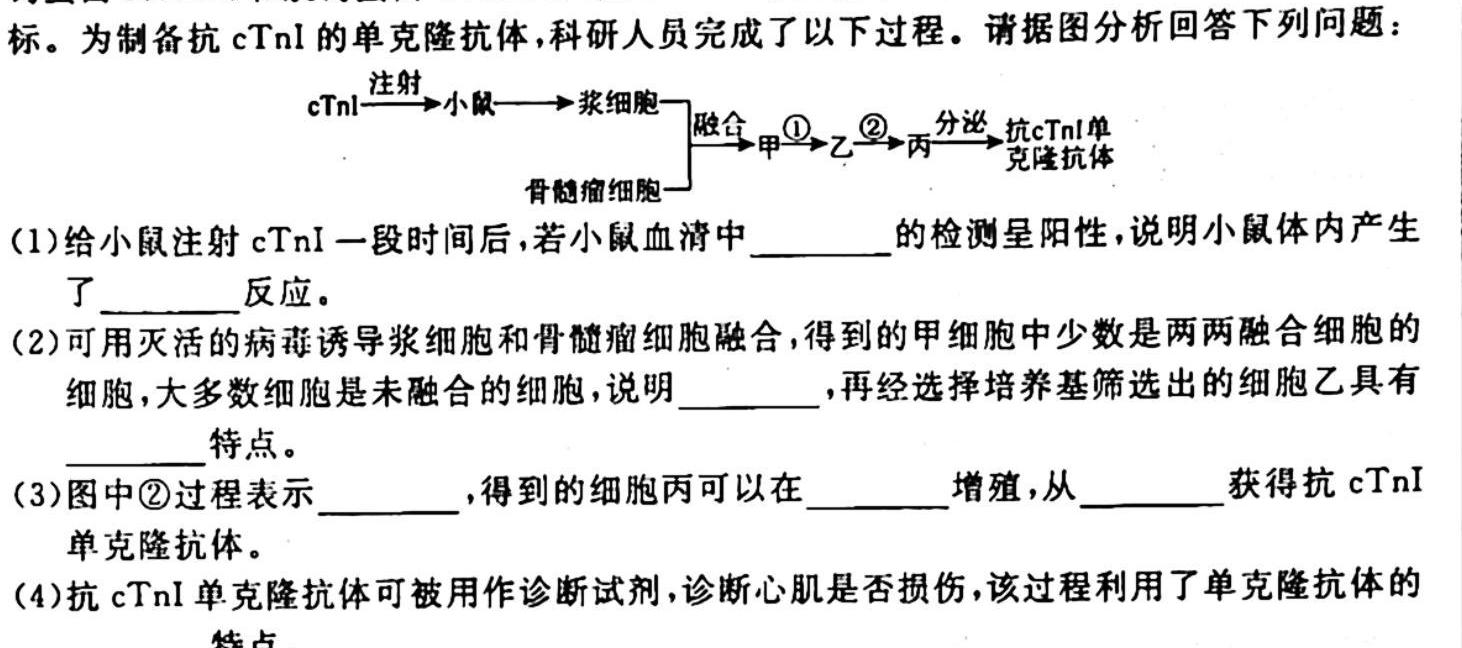 云南师大附中(云南卷)2024届高考适应性月考卷(黑白黑白白黑黑黑)生物学试题答案