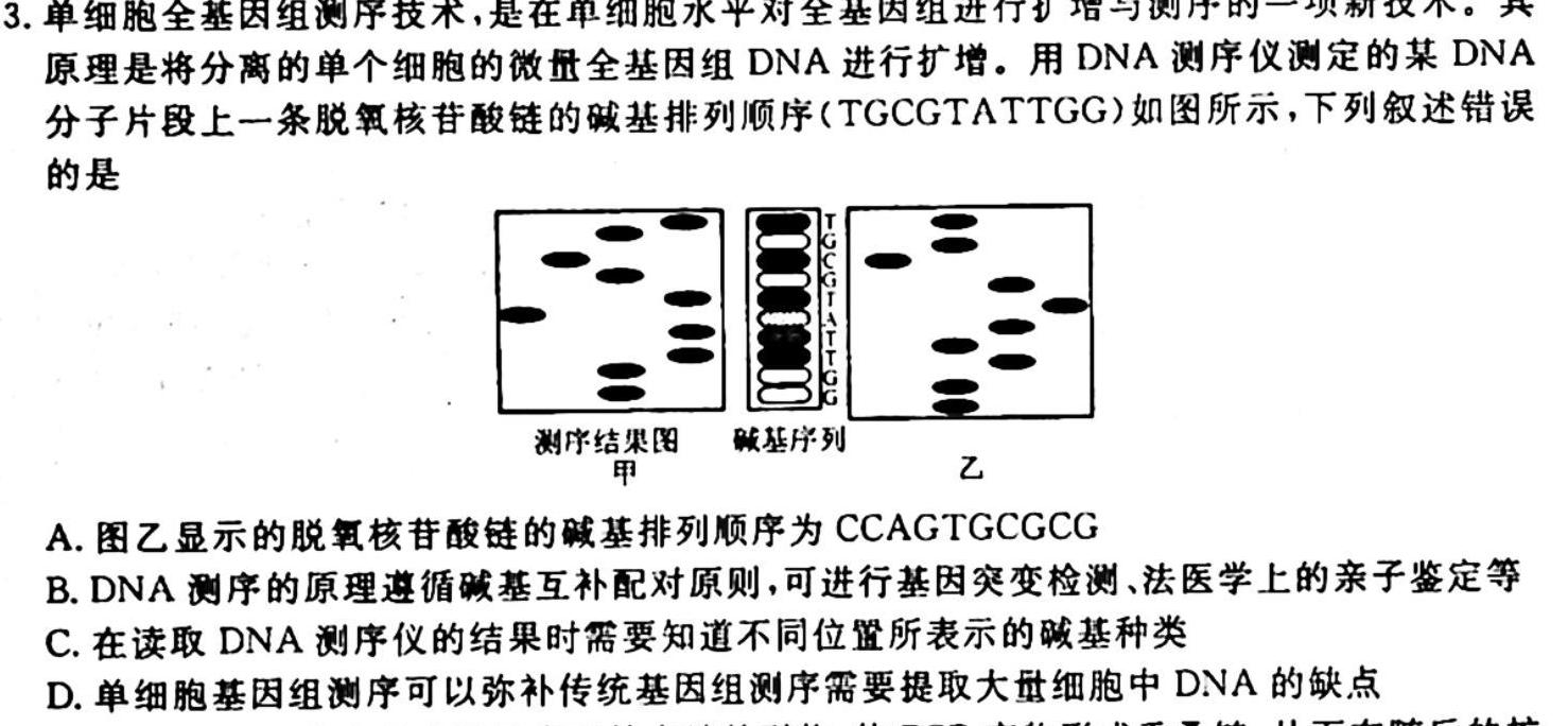 九师联盟 2024届高三10月质量检测生物