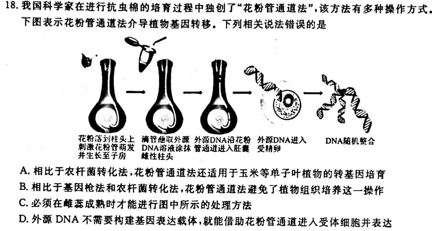 河北省2023~2024学年度八年级上学期阶段评估(一) 1L R-HEB生物