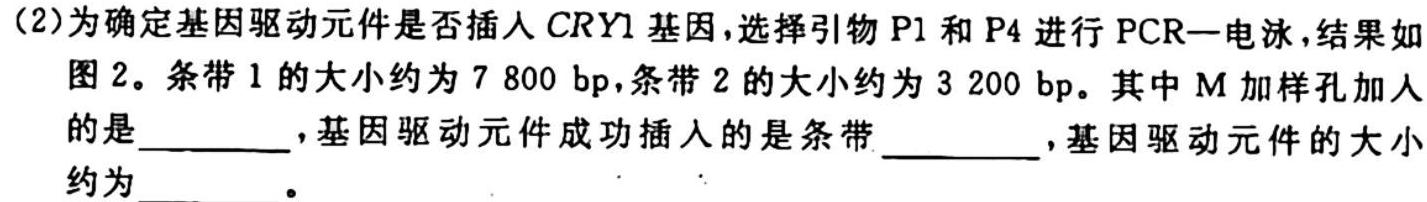 河北省沧州市2023-2024学年九年级第一学期教学质量检测二（10.10）生物学试题答案