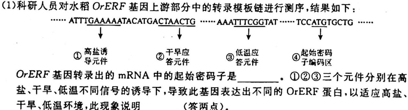 ［广东大联考］广东省2025届高二年级上学期11月联考生物