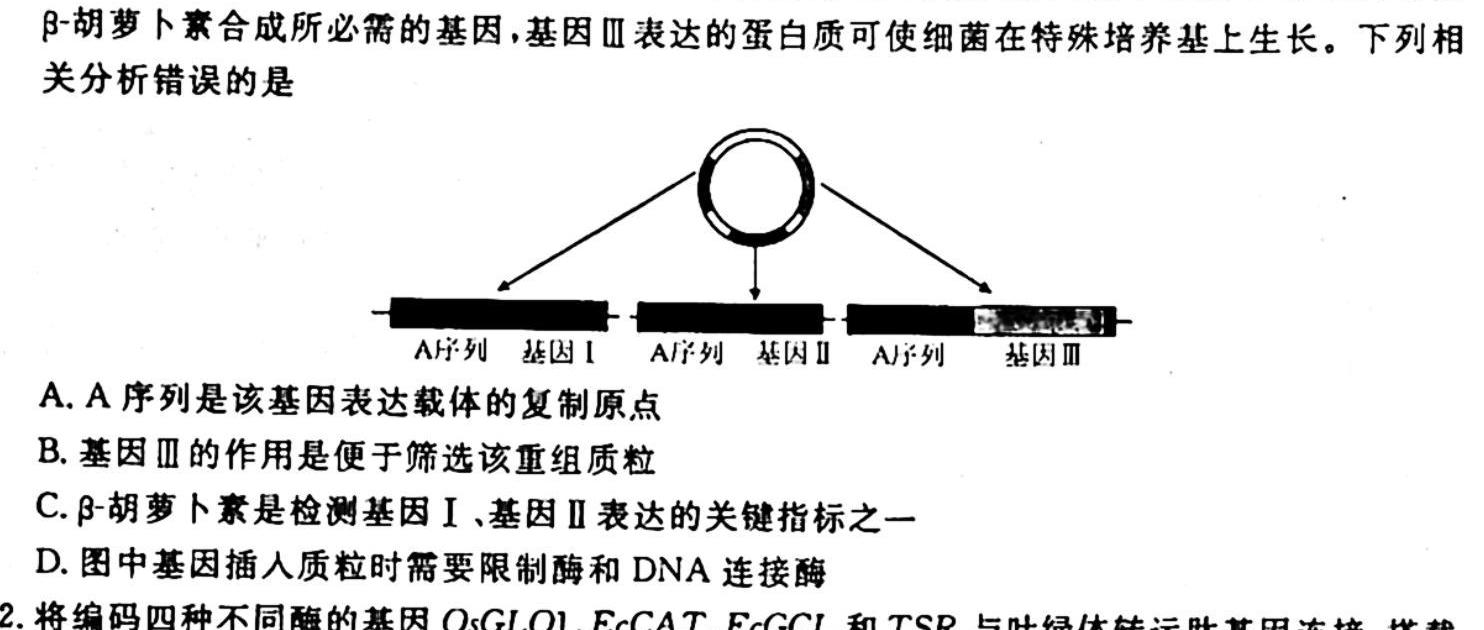 2024年衡水金卷先享题高三一轮复习夯基卷(广东专版)一生物