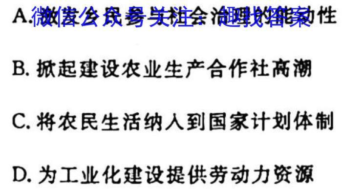 2023-2024学年安徽省九年级教学质量检测（二）历史