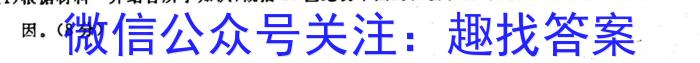 皖江名校联盟·2024届高三10月联考［B-024］历史试卷