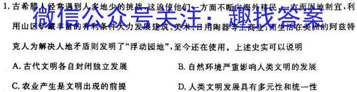 2024届广西名校高考模拟试卷第一次摸底考试历史