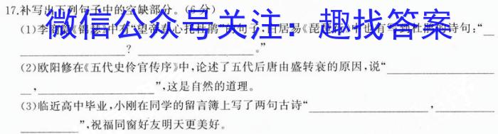 江西省2024届九年级初中目标考点测评（十）语文