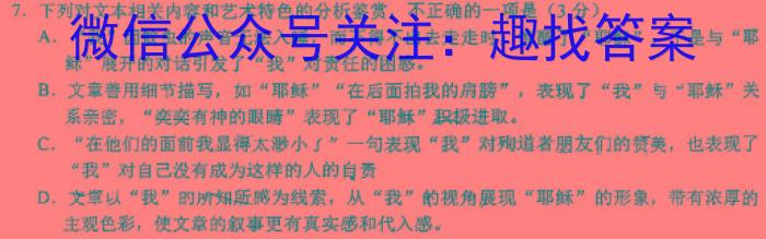 河北省沧州市2023-2024学年七年级第一学期教学质量检测一（10.10）/语文