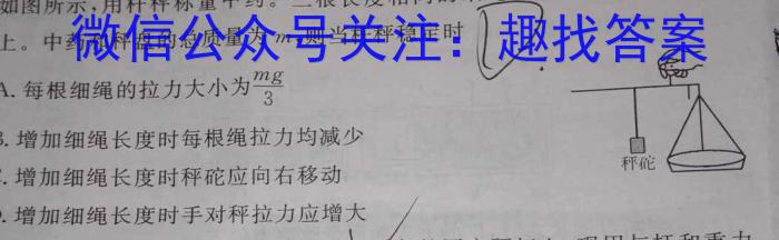 吉林省"通化优质高中联盟”2023~2024学年度高一上学期期中考试(24-103A)q物理