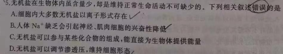 天一大联考2023-2024学年高中毕业班阶段性测试（二）生物学试题答案