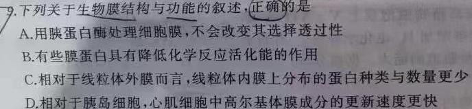 ［山西思而行］山西省2023-2024学年度高三年级上学期10月联考生物学试题答案