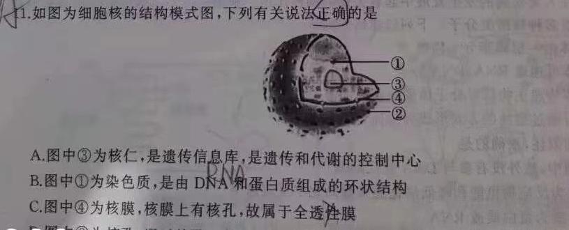 浙江省金华十校2023年11月高三模拟考试生物学试题答案