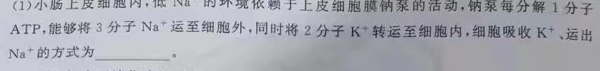 天一大联考2023-2024学年高中毕业班阶段性测试（二）生物