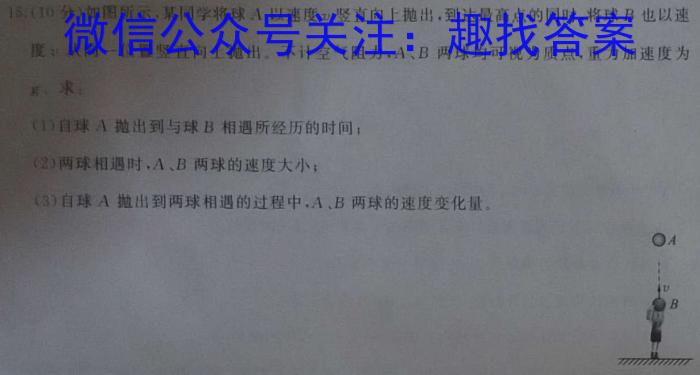 重庆市名校联盟2023-2024学年度高二第一期期中联合考试(高2025届)l物理