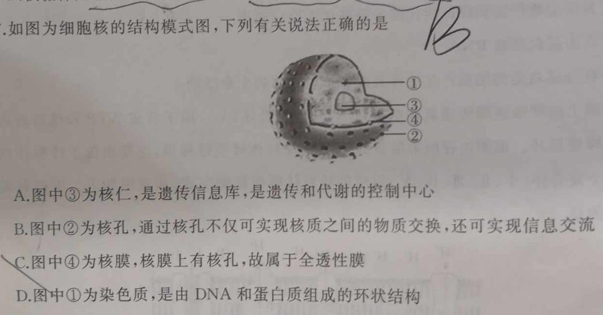 2023年秋季河南省高一第二次联考(24-43A)生物学试题答案