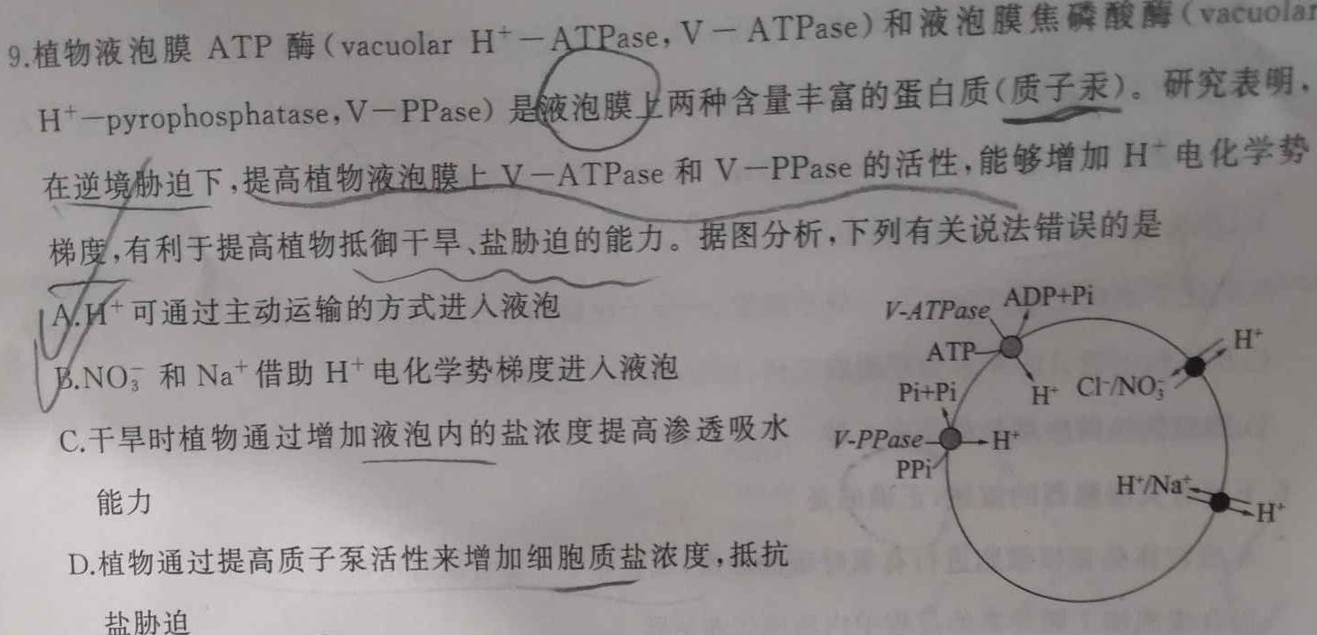 四川省普通高中2023-2024学年度高二11月联考生物