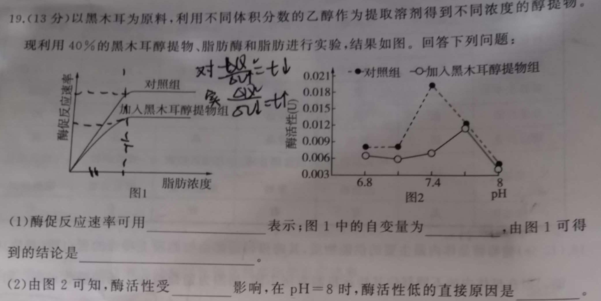 九师联盟2023-2024学年高三10月质量检测（新教材-L）生物试卷答案