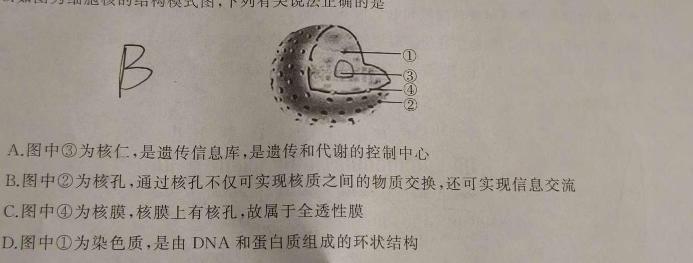 2023-2024学年度高中同步月考测试卷（一）高一·新教材生物