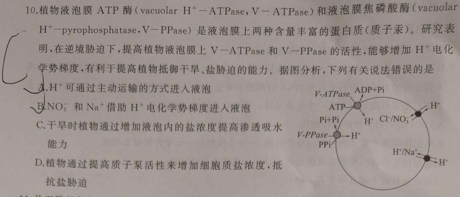 河南省信阳市2023-2024学年度七年级上学期第一次月考质量检测生物