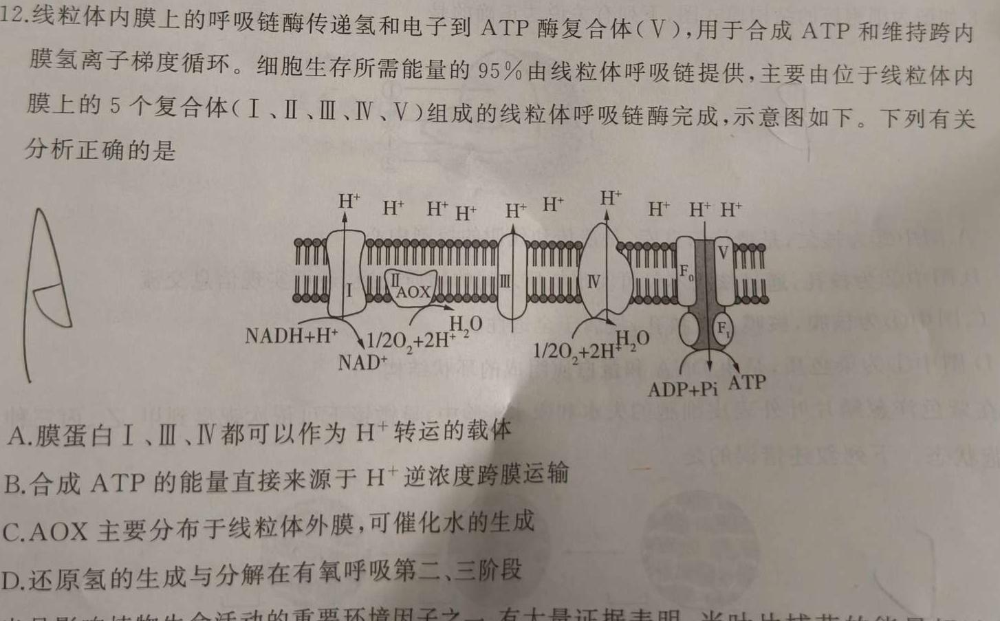 安徽省2023~2024学年度九年级阶段质量检测(R-PGZX D AH ☆)生物学试题答案