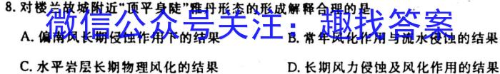 四川省攀枝花市2024届高三第三次统一考试(2024.04)地理.试题